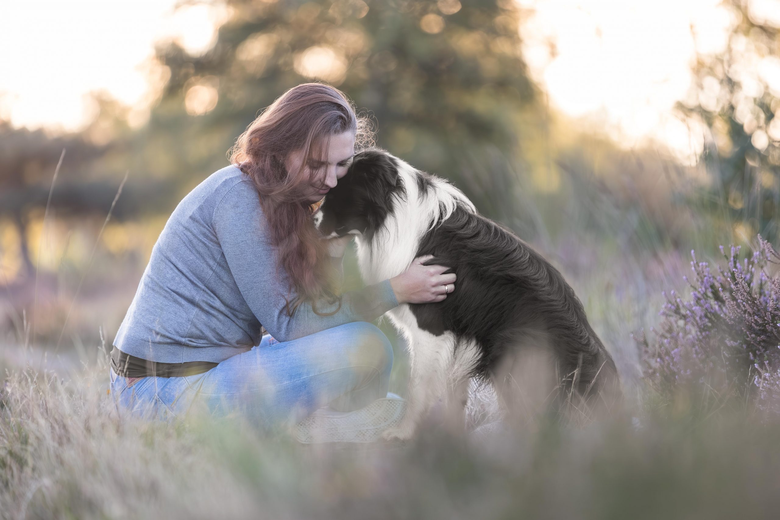 Frauchen sitzt gegenüber von ihrem Border Collie Kopf an Kopf in der Heide