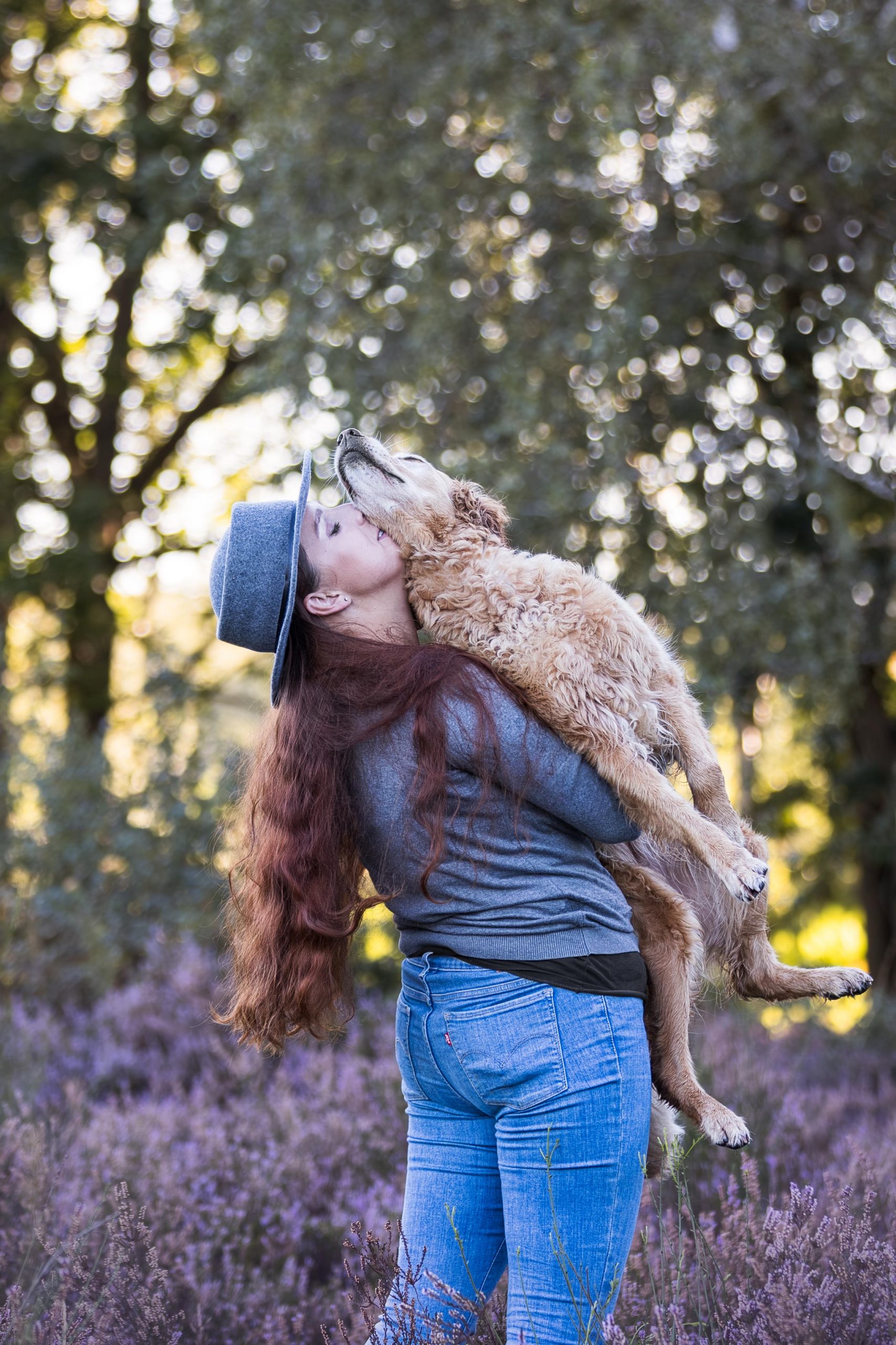 Frauchen kuschelt Kopf an Kopf mit Golden Retriever Hündin auf ihrem Arm vor lila Heide